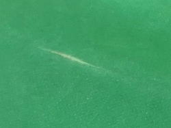 �|���G�X�e�� �f�b�L �U���� 12_4